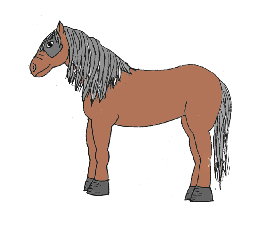An image of Hannah the Horse
