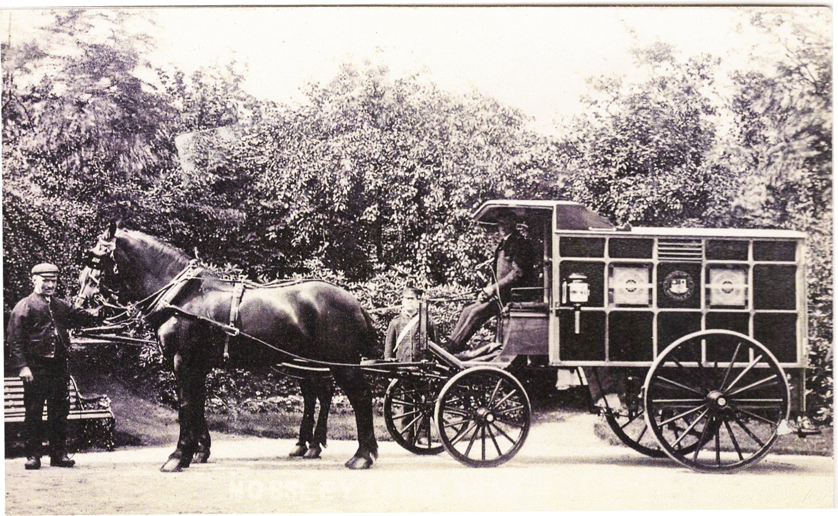 Photo of police horse and cart